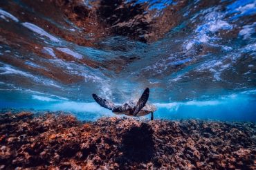 Klima und Meer – Beziehungsstatus: Es ist kompliziert